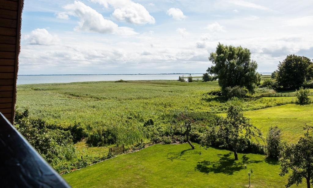 アーレンスホープHaus Am Bodden 03アパートメント エクステリア 写真