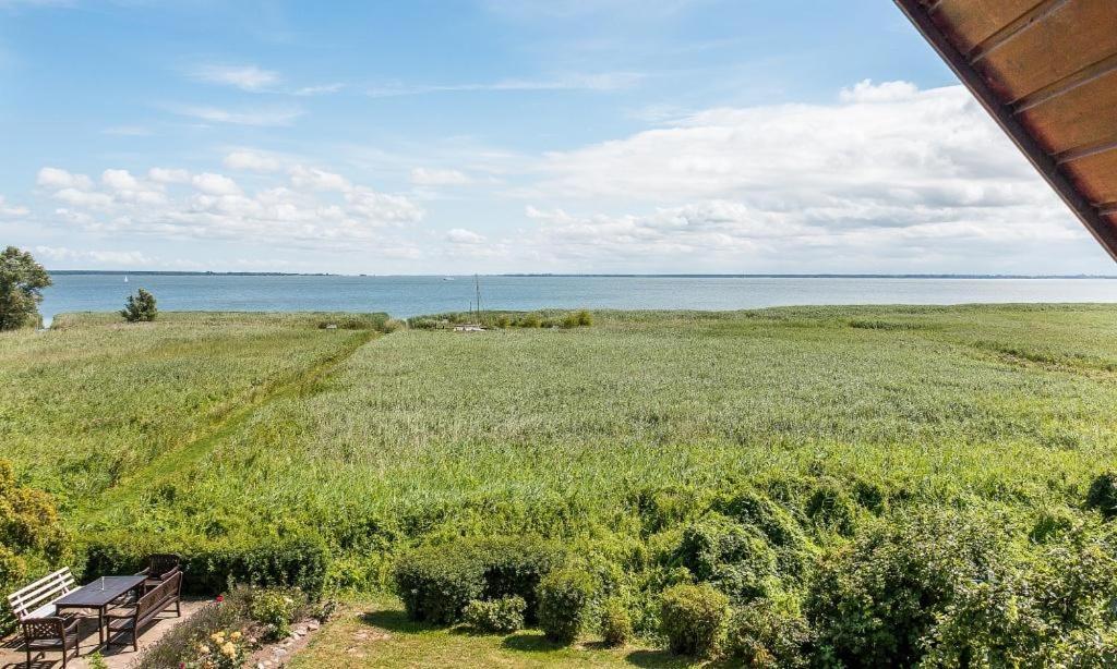 アーレンスホープHaus Am Bodden 03アパートメント エクステリア 写真