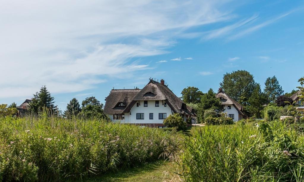 アーレンスホープHaus Am Bodden 03アパートメント エクステリア 写真