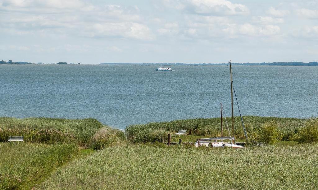 アーレンスホープHaus Am Bodden 03アパートメント エクステリア 写真